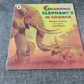Grandma Elephant's in Charge