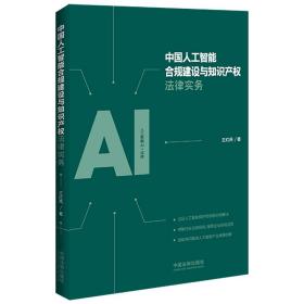 中国人工智能合规建设与知识产权法律实务 王红燕 9787521631975 中国法制出版社