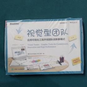 视觉型团队：应用可视化工具开创团队创新新模式（双色）
