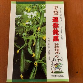图文精解迷你黄瓜种植技术【一版一印】