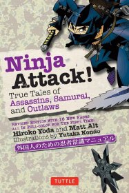 价可议 Ninja Attack nmdzxdzx