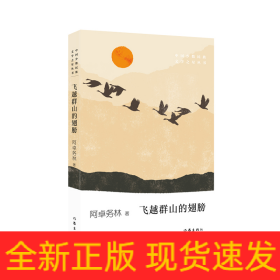 飞越群山的翅膀/中国少数民族文学之星丛书