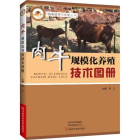 新华正版 肉牛规模化养殖技术图册 郑立 9787572504082 河南科学技术出版社
