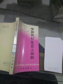 中国情书鉴赏小辞典