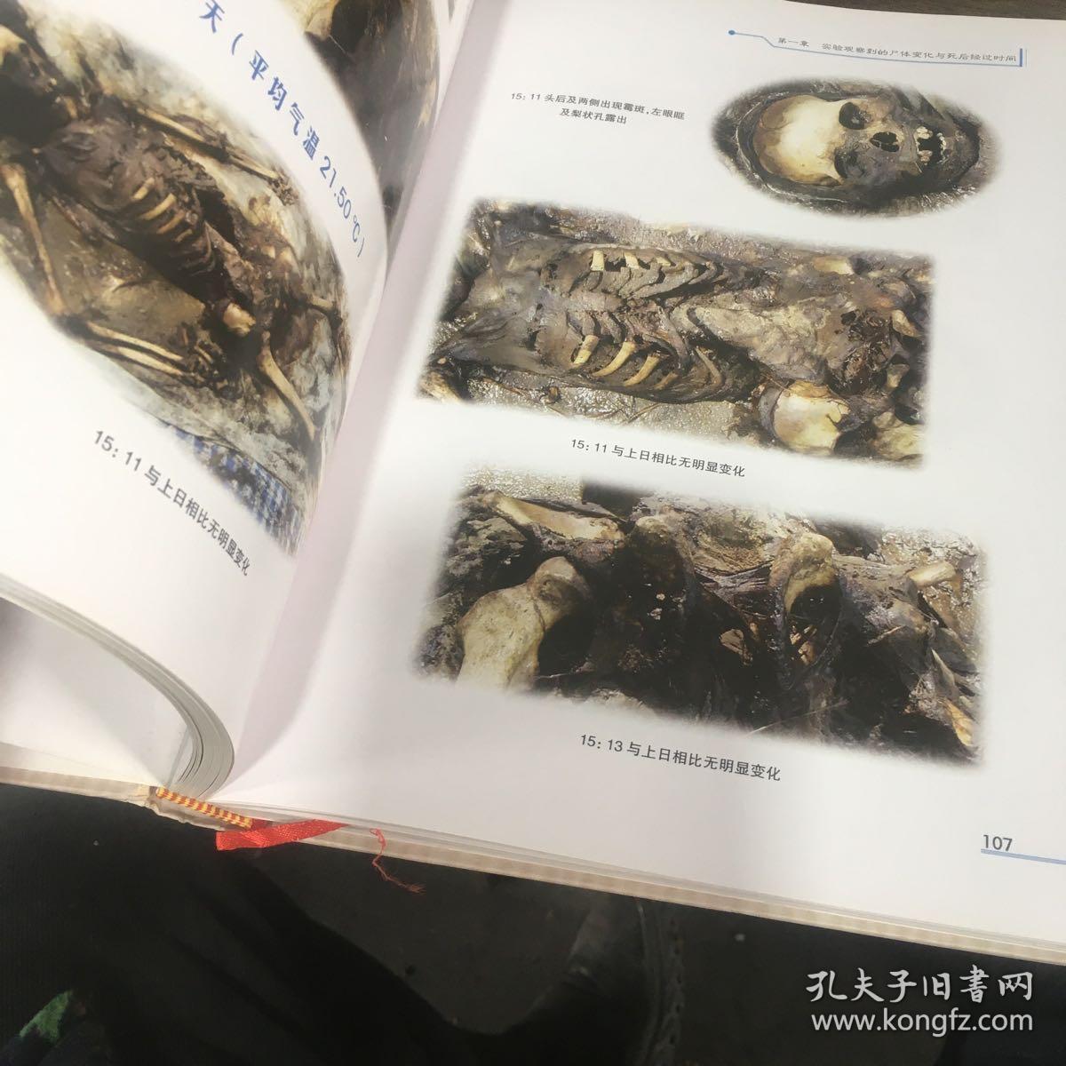 尸体变化图鉴陈禄仕编孔夫子旧书网sexiezpix Web Porn