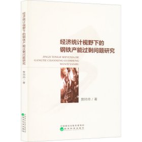 新华正版 经济统计视野下的钢铁产能过剩问题研究 贾帅帅 9787521820584 经济科学出版社