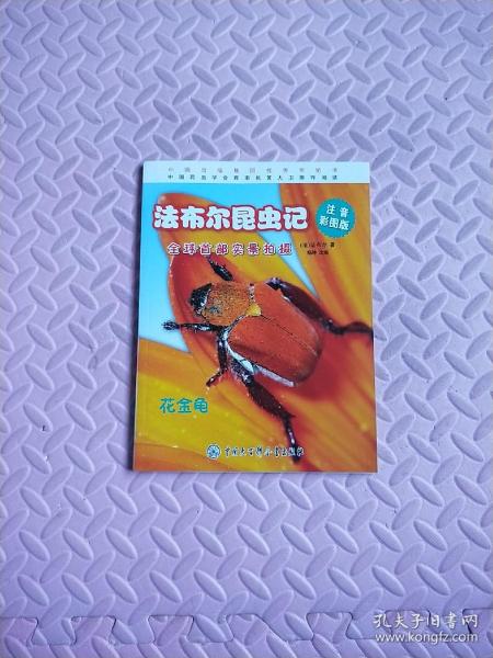 法布尔 昆虫记 花 金龟