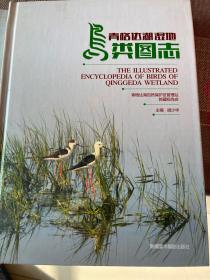 青格达湖湿地鸟类图志