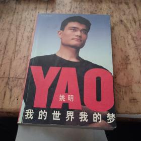 我的世界我的梦：A Life in Two Worlds (Wo de shi jie wo de meng) (Chinese)