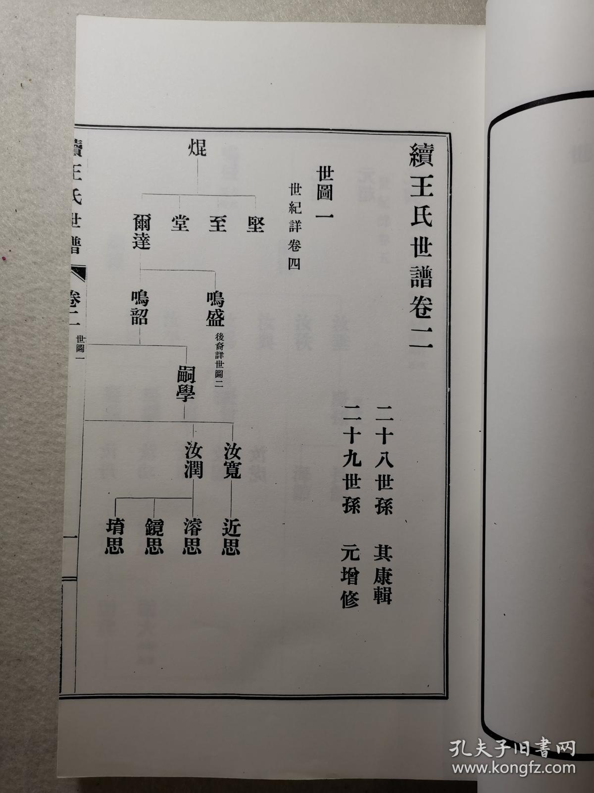 王氏家谱(续)民国著名监狱学家【王元增】纂修族谱/【鲁仕骥】,乾隆三