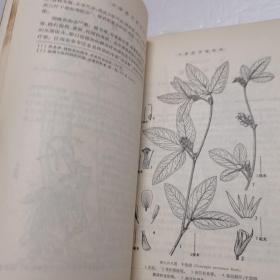 中国药用植物志(第八册)
