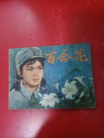 连环画: 百合花