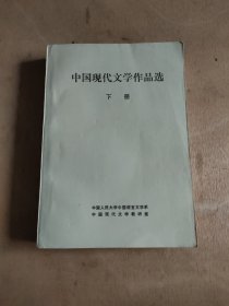 中国现代文学作品选 下