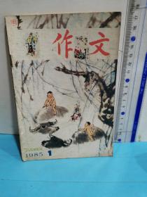 作文  1985.1