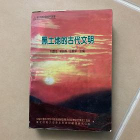 黑土地的古代文明：全国首届东北民族与疆域问题学术研讨会文集