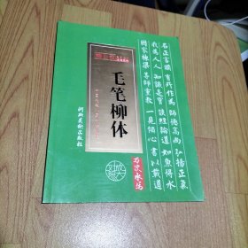 中国毛笔水写书法教程 毛笔柳体