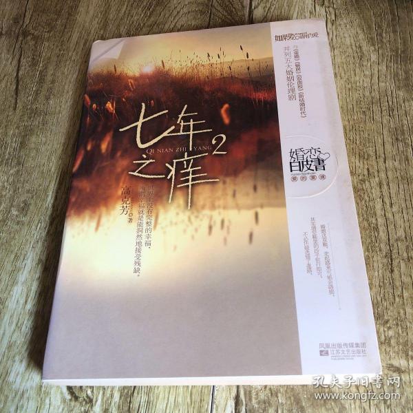 七年之痒2