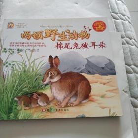 棉尾兔破耳朵（彩绘版）/西顿野生动物