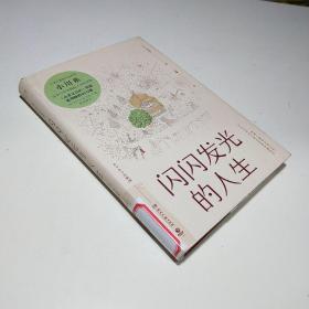 闪闪发光的人生