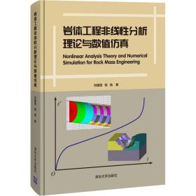 新华正版 岩体工程非线性分析理论与数值仿真 刘耀儒,杨强 9787302576792 清华大学出版社