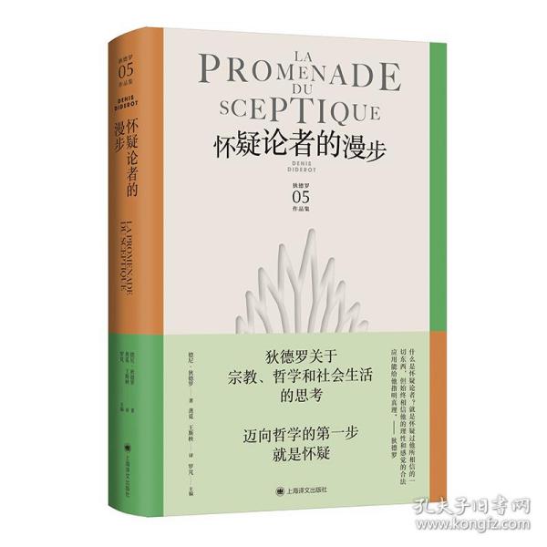 怀疑论者的漫步