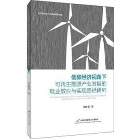 低碳经济视角下可再生能源产业发展的就业效应与实现路径研究 9787563830046