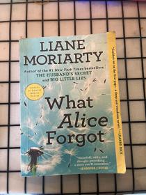 What Alice Forgot《爱丽丝忘了什么》【英文原版，by Liane Moriarty】