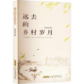 远去的乡村岁月 中国现当代文学 张东明 新华正版