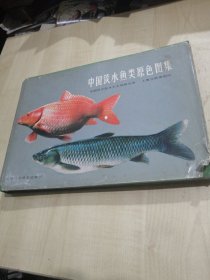 中国淡水鱼类原色图集 1