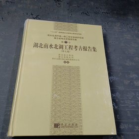 湖北南水北调工程考古报告集（第七卷）