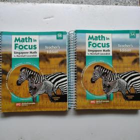Math in Focus（ 5A 5B 两本合售） 无笔记  活页