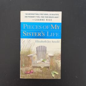 Pieces of My Sister's Life by Elizabeth Joy Arnold 英文原版 我妹妹的生活片段伊丽.乔伊.阿诺德