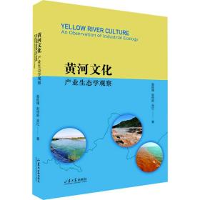 黄河文化：产业生态学的观察
