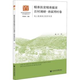 新华正版 精准扶贫精准脱贫百村调研·孙家湾村卷 线上陇南助力扶贫攻坚 陈方 9787520175098 社会科学文献出版社