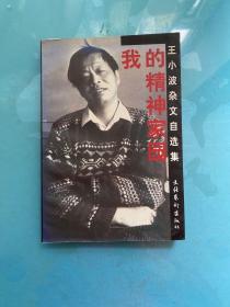 我的精神家园：王小波杂文自选集