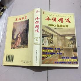 小说精选2003年精华本