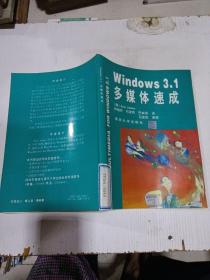 Windows3.1多媒体速成