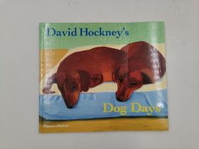 David Hockney's Dog Days
