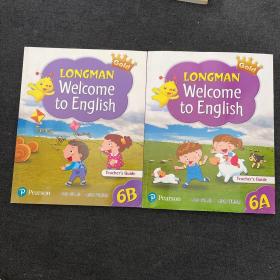 LONGMAN Welcome to English Teachers guide 6A 6B  合售