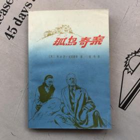 推理侦探小说：孤岛奇案