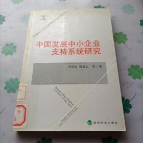 中国发展中小企业支持系统研究——中国中小企业发展前沿研究丛书