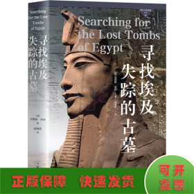 寻找埃及失踪的古墓