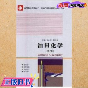 油田化学 第二版第2版 杨昭 李岳祥 哈尔滨工业大学出版社 9787560378565