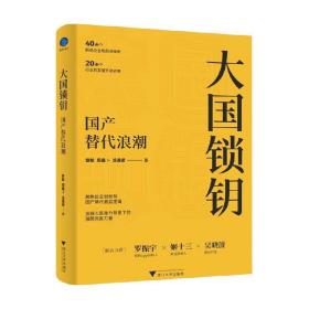 大国锁钥 国产替代浪潮 曾航等 著 经济