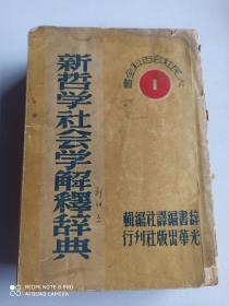 新哲学社会学解释辞典