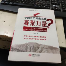 中国共产党是怎样凝聚力量的：井冈山斗争时期中国共产党凝聚力量的历史经验