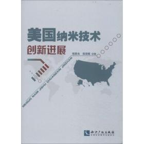 美国纳米技术创新进展 新材料 张明龙