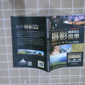 摄影就该这么简单：新摄影技法从入门到精通 王冬斌 9787113199920 中国铁道出版社