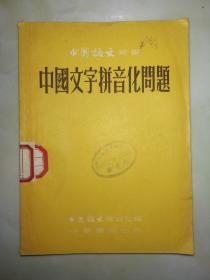中国文字拼音化问题，1954