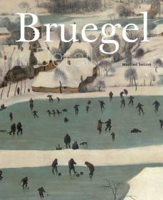 正版 彼得·勃魯蓋爾細節畫冊 Bruegel in Detail